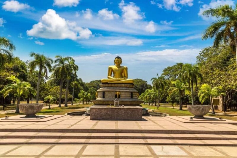 Walk and Explore Colombo City: Guided Walk with Food Tasting - Introduction: First Impressions of the Tour