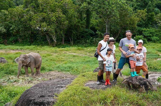 Walk and Feed at Bukit Elephant Park Phuket - FAQ