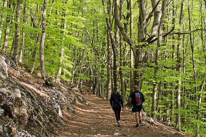 Walk Around Faito Mountain, the Highest Point of the Amalfi Coast and Sorrento Peninsula - Price, Availability, and Reviews