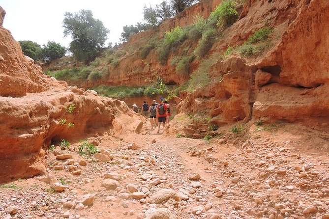 Walk Between Argan Forest, Ocean & Waterfalls - Tour Highlights