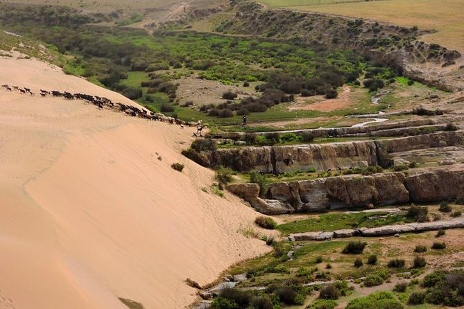 Walk Between Argan Forest, Ocean & Waterfalls - Itinerary Overview