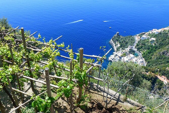 Walk, Cook & Eat of Amalfi Coast - Meeting and Cancellation Policy