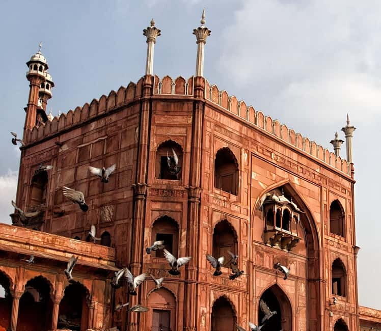 Walk & Explore Old Delhi: Guided Tour by Foot with a Local - Good To Know