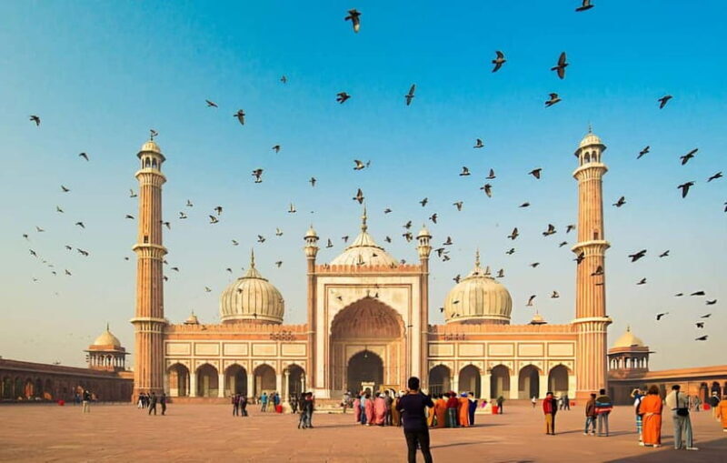 Walk & Explore Old Delhi: Guided Tour by Foot with a Local - Introduction: Experience Old Delhi Like a Local