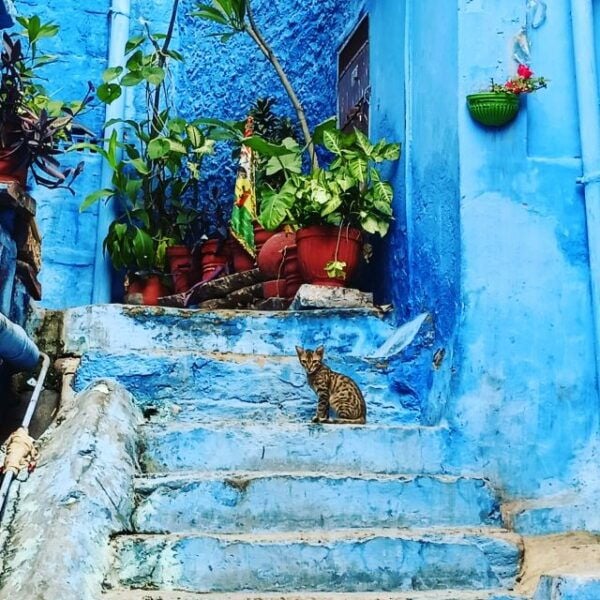 Walk In Blue City - The Sum Up
