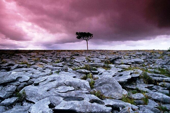 Walk in Burren National Park Clare. Guided. 4 Hours. - Overview