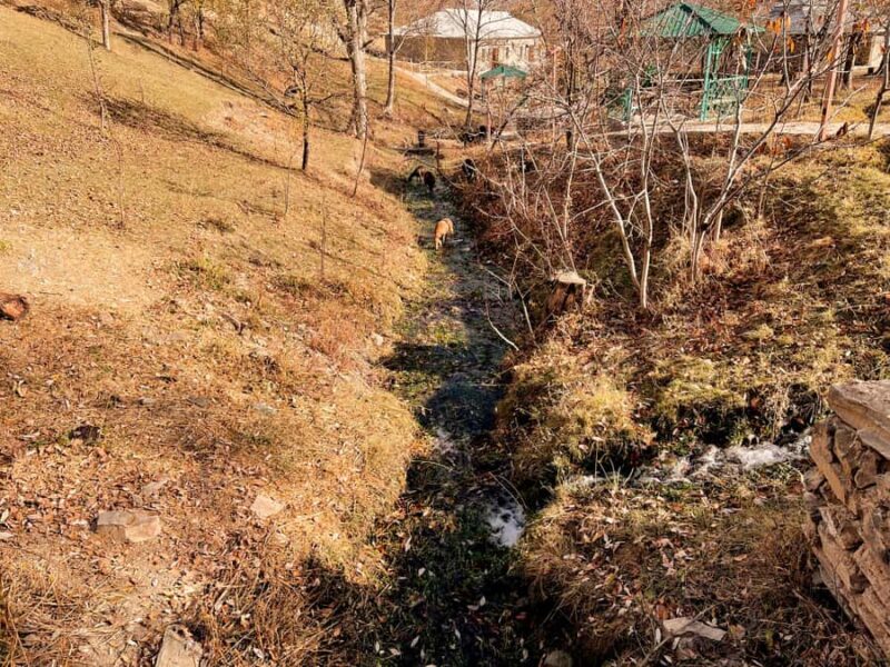 Walk in Hayat, watch the sheep, Lake Aydar, yurt and more! (3 days) - Good To Know