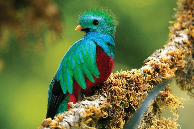Walk in Monteverde Cloud Forest - Location and Accessibility