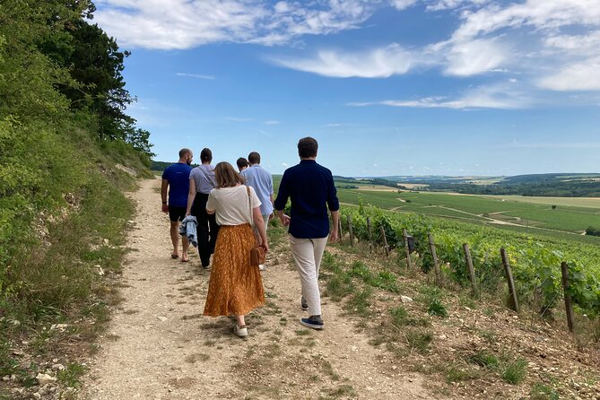 Walk in the Vineyards of Chablis Grands Crus - Activity Details