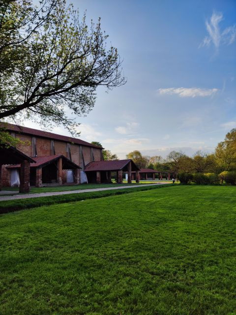 Walk in the Wood With Picnic on the Turtles Lake - Good To Know
