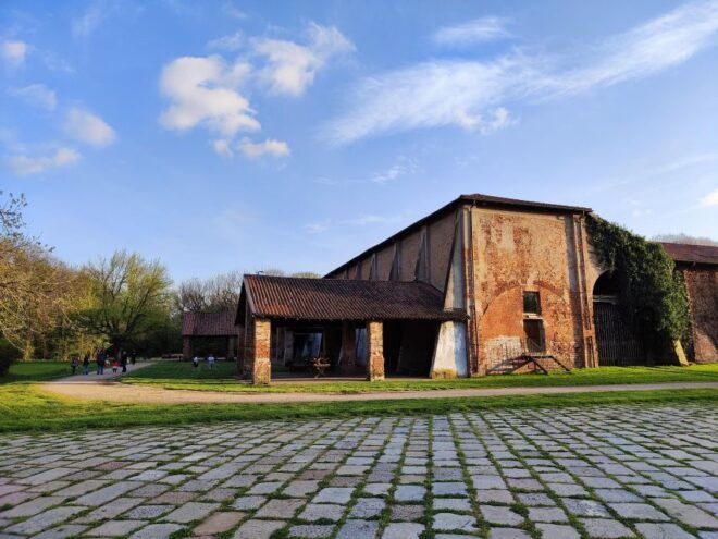 Walk in the Wood With Picnic on the Turtles Lake - Relish a Tranquil Picnic by the Lake