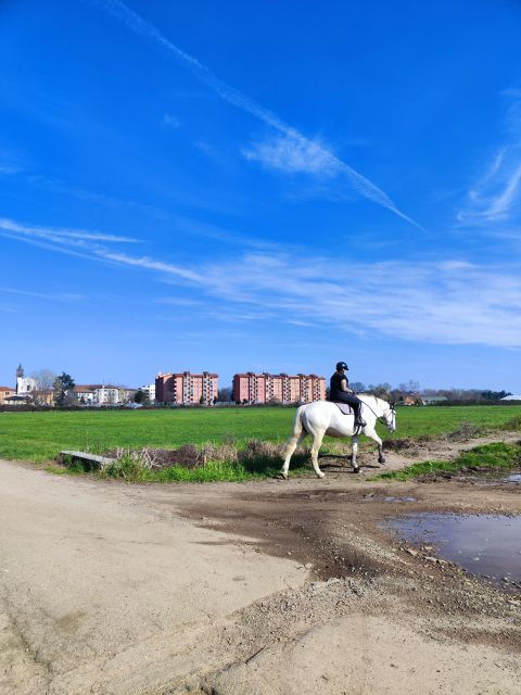 Walk in the Wood With Picnic on the Turtles Lake - Taste Italian Products in Nature