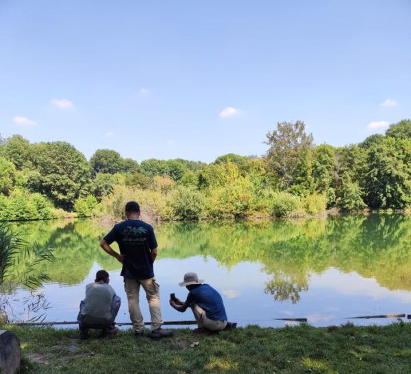 Walk in the Wood With Picnic on the Turtles Lake - Customer Reviews and Meeting Point