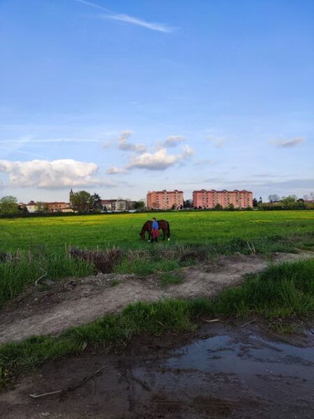 Walk in the Wood With Picnic on the Turtles Lake - Frequently Asked Questions