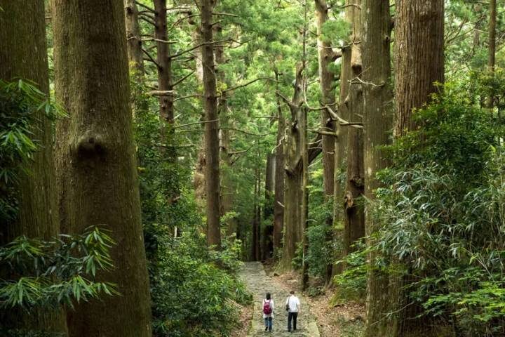 Walk Japan - Kumano Kodo Trail 12-Day Tour by Explore! - Matsumoto and the old road through Kiso