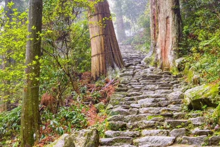 Walk Japan - Kumano Kodo Trail 12-Day Tour by Explore! - Kyoto, Nara and Uji on foot