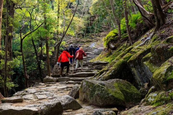 Walk Japan - Kumano Kodo Trail 12-Day Tour by Explore! - Four days on the Kumano Kodo