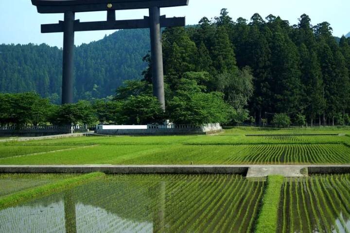 Walk Japan - Kumano Kodo Trail 12-Day Tour by Explore! - What the price includes, and what it doesn’t