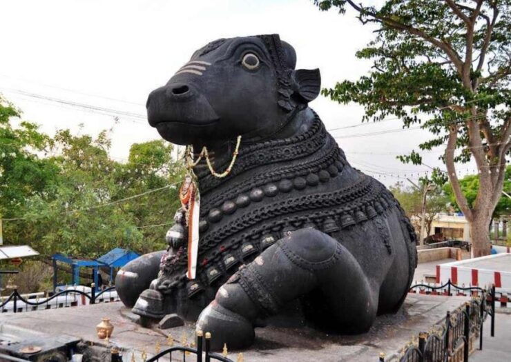 Walk of Divinity Bangalore (2 Hours Guided Walking Tour) - Pricing and Inclusions