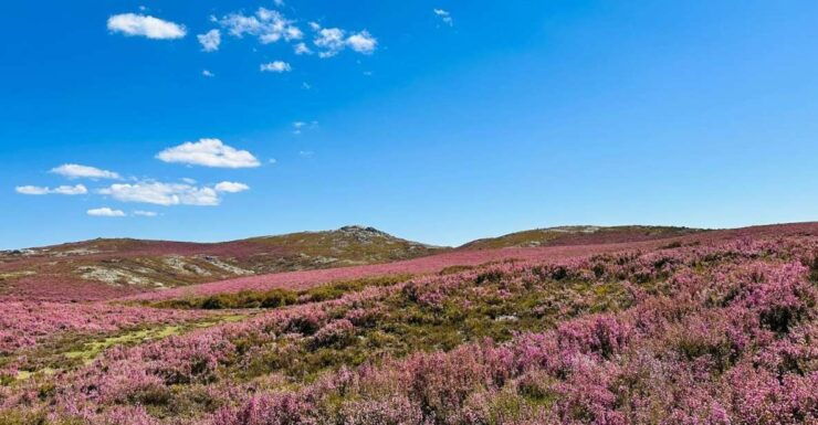 Walk & Picnic Peneda Gerês National Park - Guided - Tour Description
