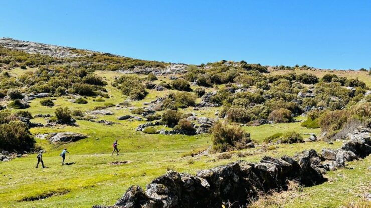Walk & Picnic Peneda Gerês National Park - Guided - Tour Experience