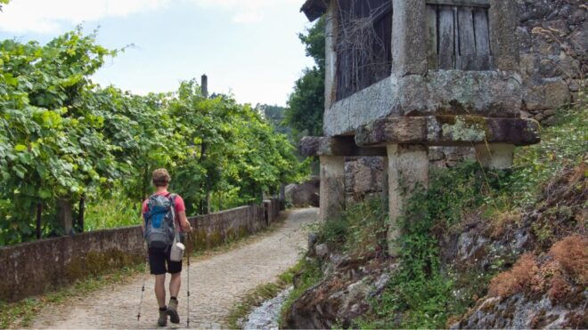 Walk & Picnic Peneda Gerês National Park - Guided - Important Information