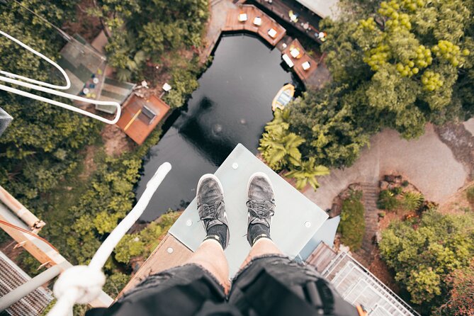 Walk the Plank Skypark Cairns by AJ Hackett - Weight and Height Restrictions