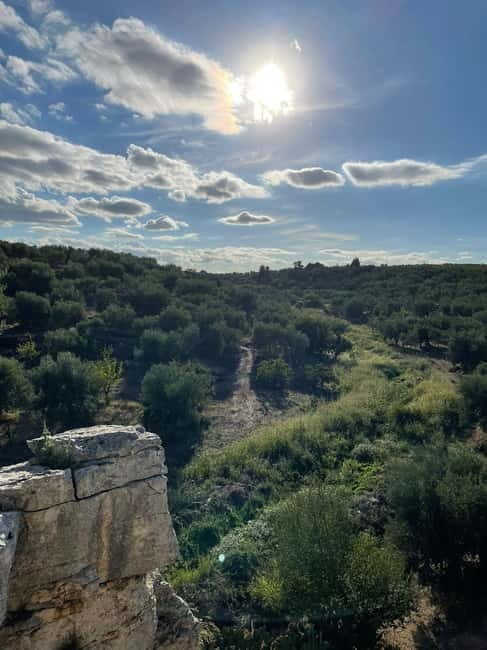 Walk through Lama S.Croce: Between Trulli and Olive Trees - An In-Depth Look at the Tour Experience