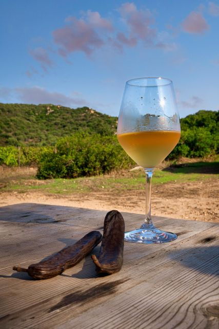 Walk Through Our Vineyard and Aperitif - Taste Organic Wines and Liqueurs
