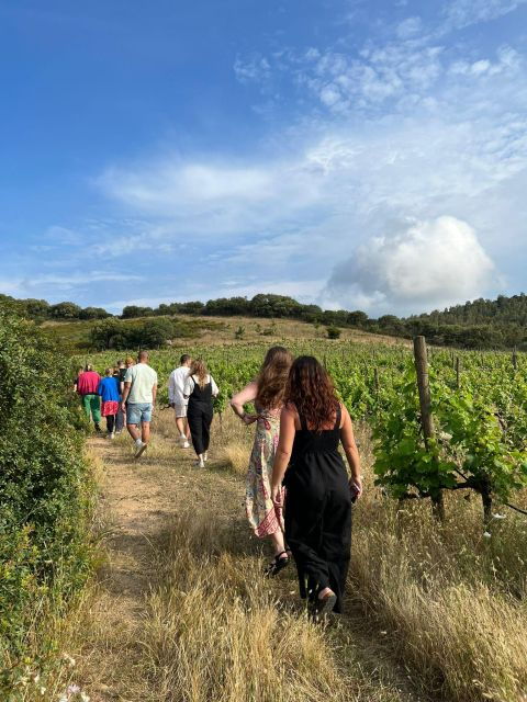 Walk Through Our Vineyard and Aperitif - Enjoy Local Specialties