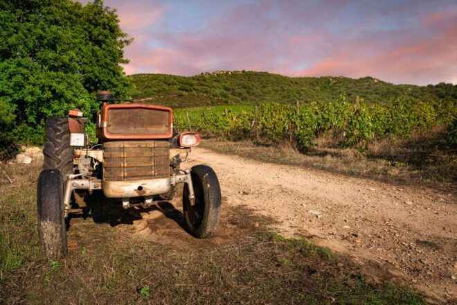 Walk Through Our Vineyard and Aperitif - Frequently Asked Questions