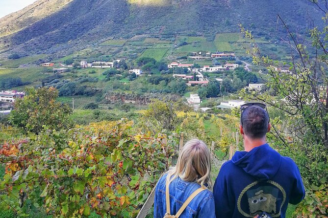 Walk Through the Vineyards in Salina and Caper Tasting - Caper Tasting Experience