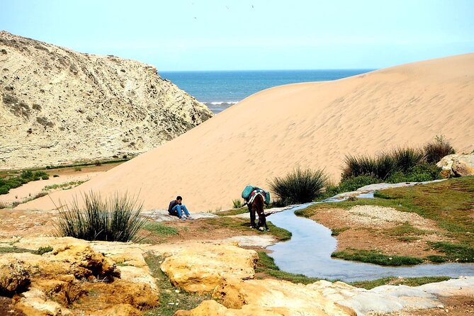 Walk to the Cascade and Marabout of Sidi Mbark & for a Tea to Kaouki - Inclusions