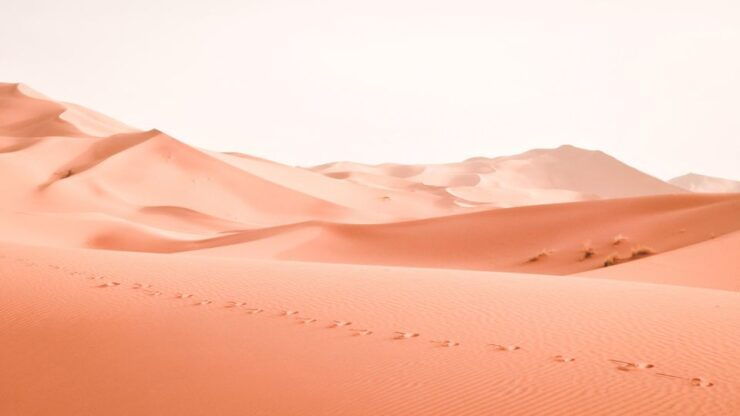 Walk Trek 8 Day From Marrakech to Erg Chegaga Camel Trekking - Booking Information