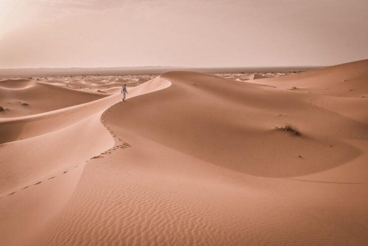 Walk Trek 8 Day From Marrakech to Erg Chegaga Camel Trekking - Experience Highlights