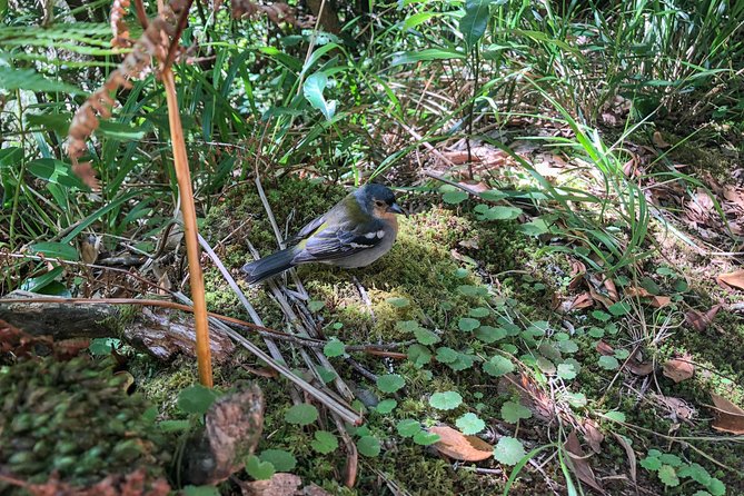 Walk With a Local - Directions
