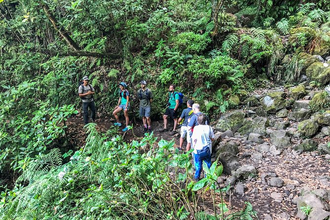 Walk With a Local - Common Questions