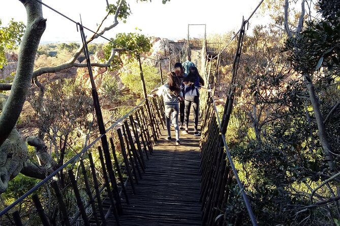 Walk With Elephants Experience Plus Monkey Forest Walk - Viator Traveler Questions and Answers