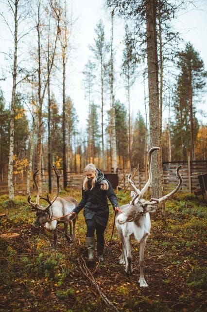 Walk with Reindeer - Detailed Breakdown of the Itinerary