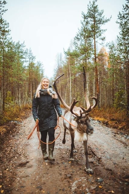 Walk with Reindeer - The Value of the Experience