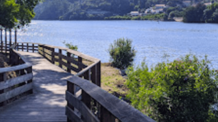 Walk With Strangers - Douro Landscapes - Good To Know