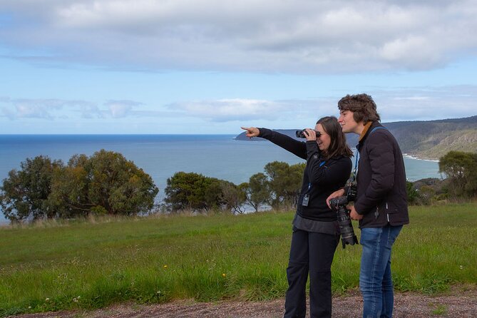 Walk With Wildlife: Guided Tour in Great Ocean Road - Meeting and Pickup