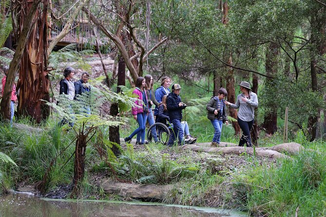 Walk With Wildlife: Guided Tour in Great Ocean Road - Traveler Photos and Reviews
