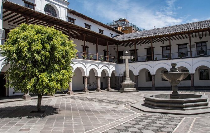 Walking Among Chullas - Chullas: A Scenic Overview