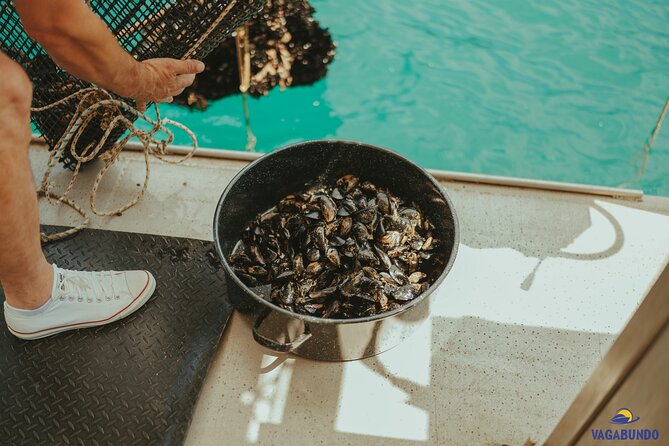 Walking & Boat Tour - Visit Ston Walls and Taste Shells on Farm - Frequently Asked Questions