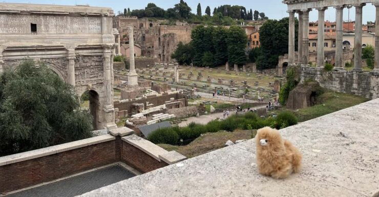 Walking City Tour Around Rome - Good To Know