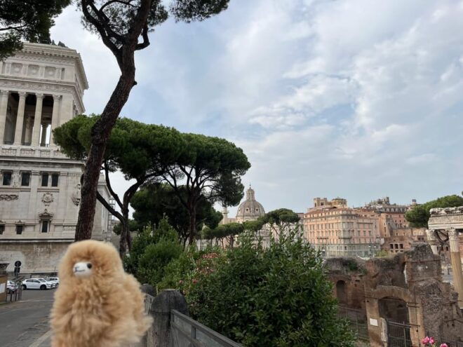 Walking City Tour Around Rome - Tips for a Great Experience