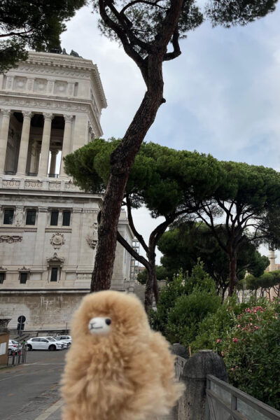 Walking City Tour Around Rome - Frequently Asked Questions