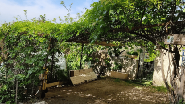 Walking in Marcel Pagnols Footsteps Guided Walking Tour - What to Expect During the Walk