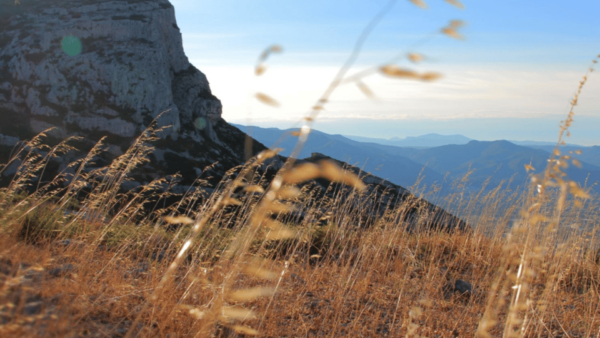 Walking in Marcel Pagnols Footsteps Guided Walking Tour - Exploring Marcel Pagnols Legacy